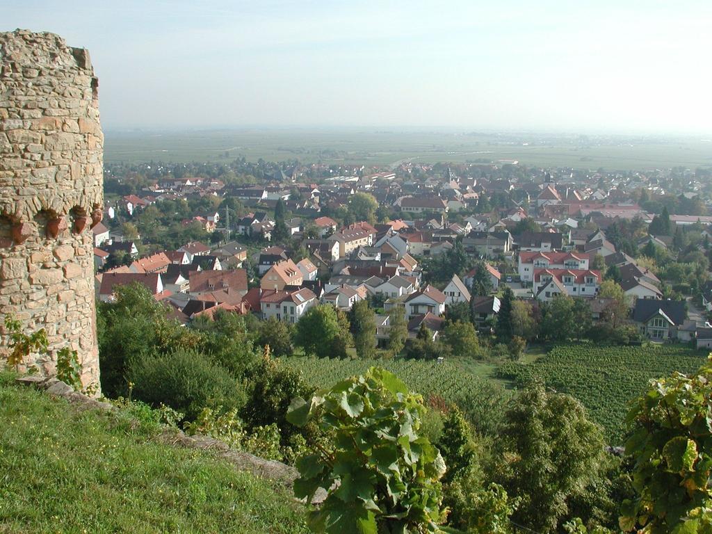 Pensjonat Altstadt-residenz Manz Wachenheim an der Weinstraße